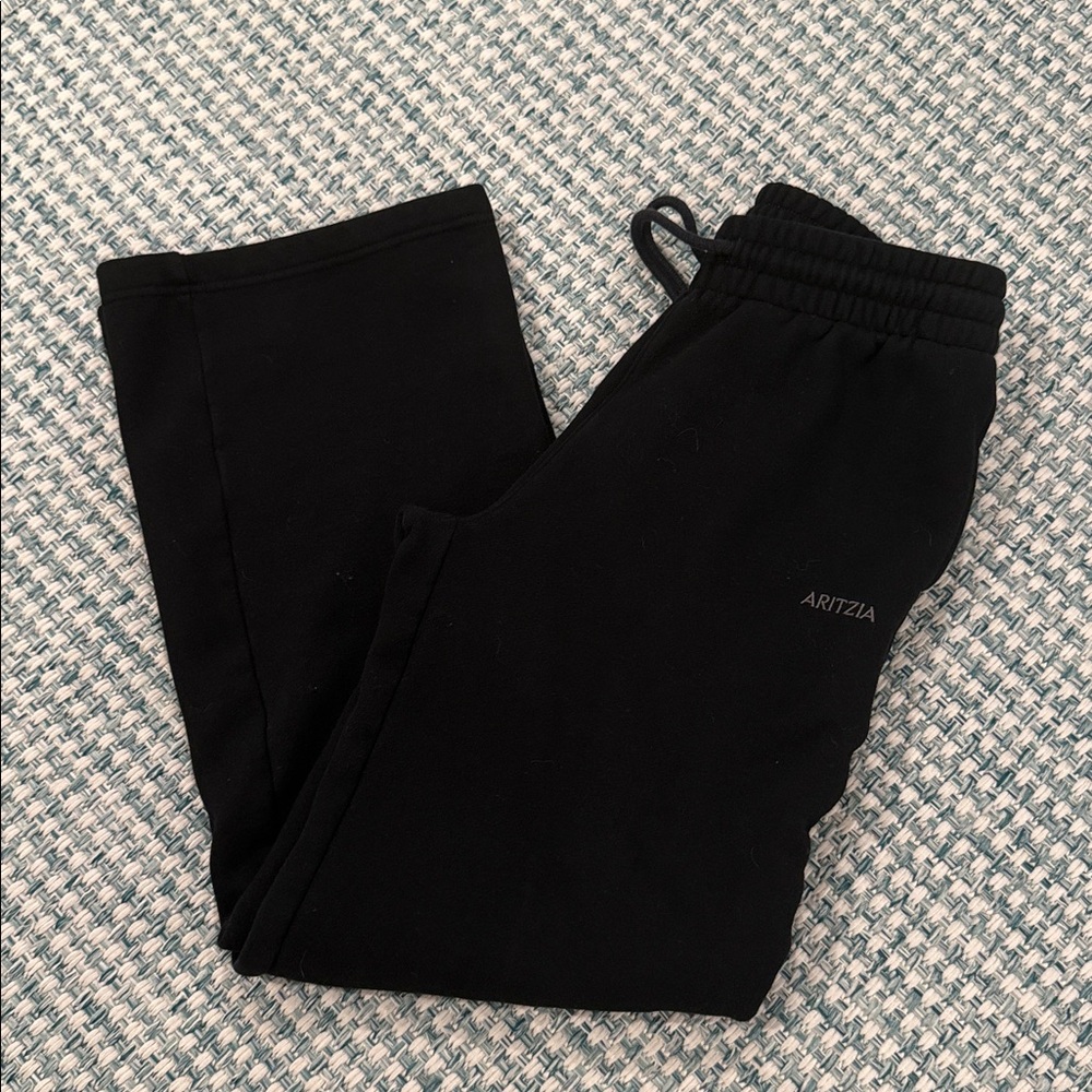 Aritzia Boyfriend Wide Sweatpants